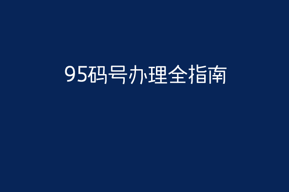 95码号办理全指南